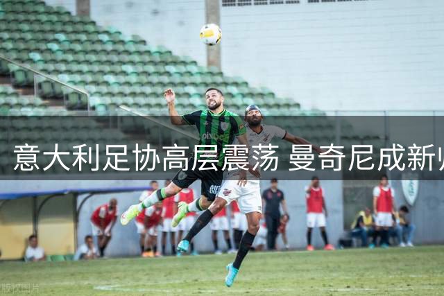意大利足协高层震荡 曼奇尼成新帅头号人选