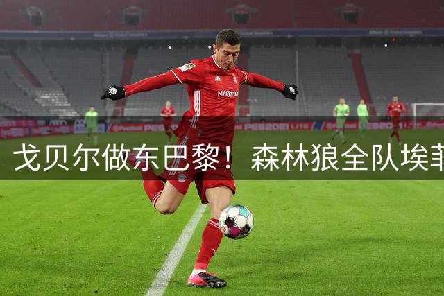 戈贝尔做东巴黎！森林狼全队埃菲尔铁塔下集结备战新赛季